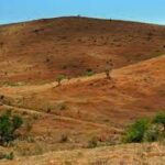 Lire la suite à propos de l’article Report de la randonnée « Savane Cap La Houssaye du 07/08/202 »